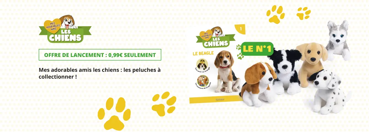 Mes adorables amis les chiens